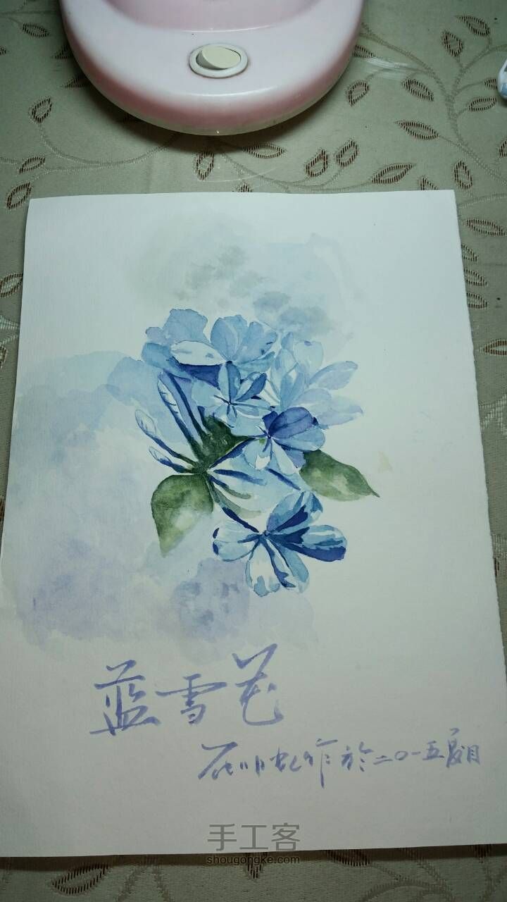 水彩手绘花 第6步