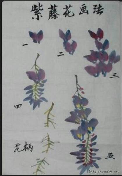 中国画紫藤 第4步