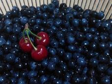 蓝莓季节怎么可以错过！
蓝莓富含花青素，对宝宝的视力，妈妈的养颜都非常有帮助，自制蓝莓酱吃的更安心。