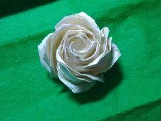 这是我的第一个原创玫瑰，希望大家能够喜欢
       
         转载请与我联系