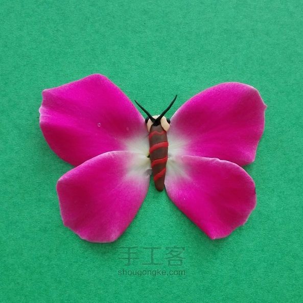 粉色的花蝴蝶 第8步