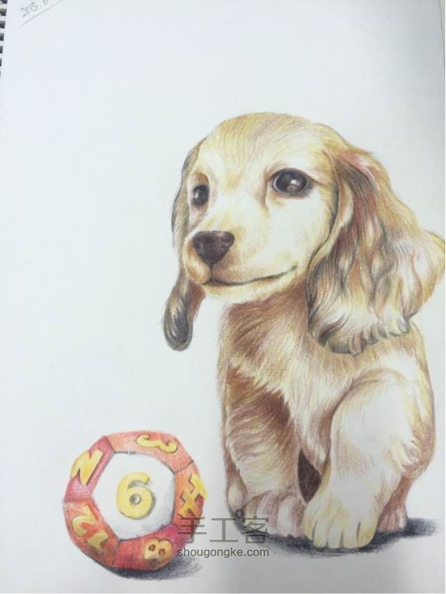 「彩铅手绘」小小萌萌的可卡犬～ 第1步
