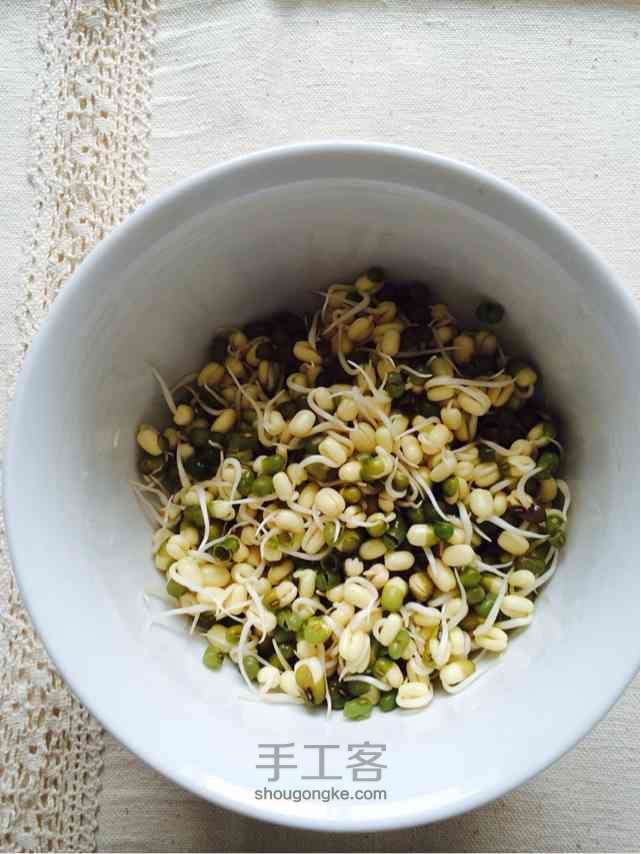 简单的发豆芽的方法 第7步