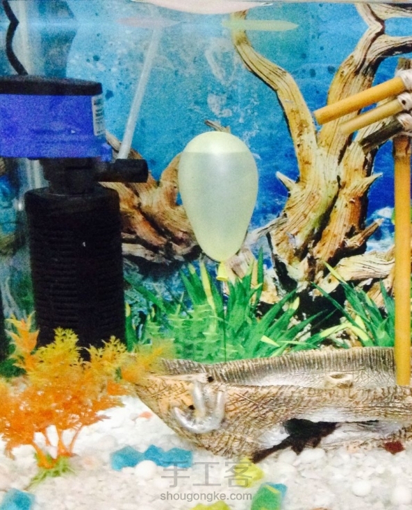 【你们城里人真会玩】空气里飘着气球不稀奇，但水里飘着气球的话，怎么看怎么好玩且又诡异(ˇˍˇ） 第1张