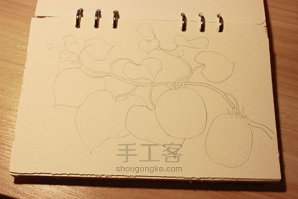 【KODI水彩课】绘制猕猴桃藤蔓的过程 第2步
