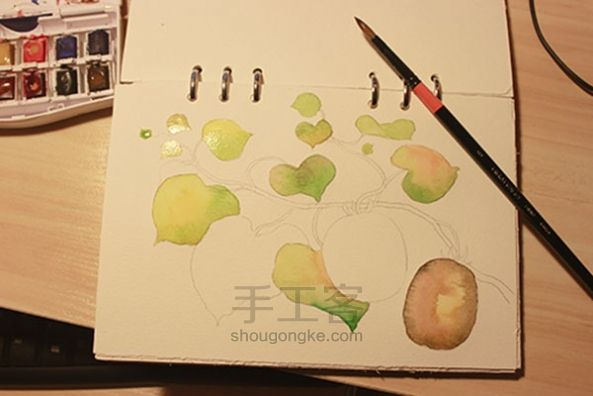 【KODI水彩课】绘制猕猴桃藤蔓的过程 第6步