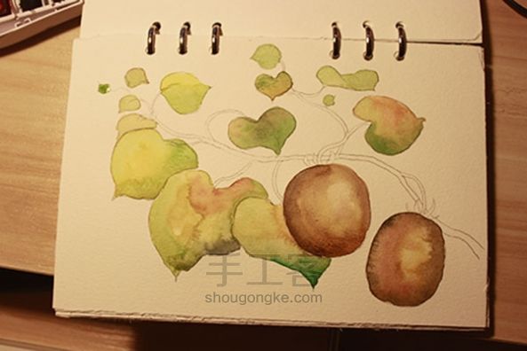 【KODI水彩课】绘制猕猴桃藤蔓的过程 第7步