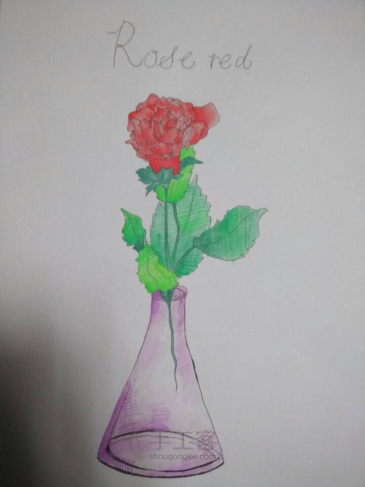 [固体水彩]Red  Rose🌹 第6步