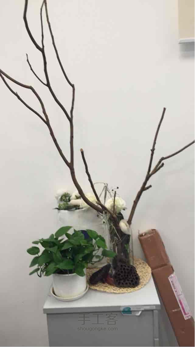 酒瓶改造禅意小品之2 第1步