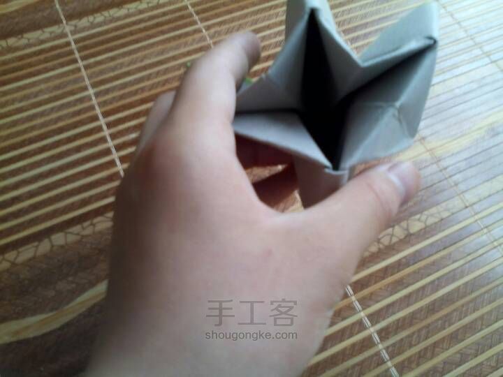 绚丽玫瑰🌹 第14步