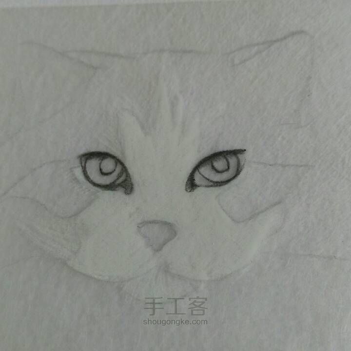 【破寒】猫系列 第4步