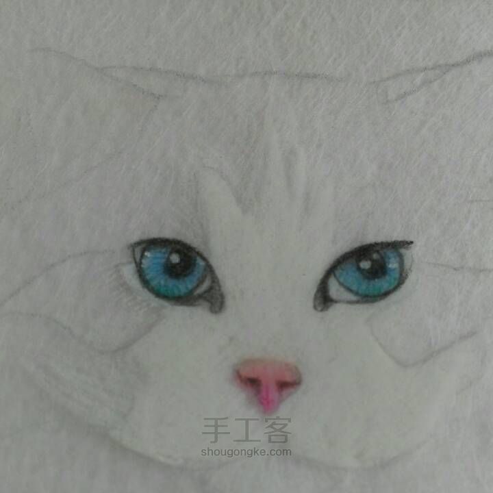 【破寒】猫系列 第7步