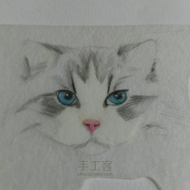 【破寒】猫系列 第8步
