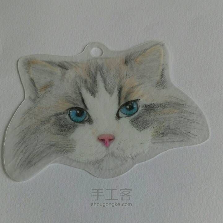 【破寒】猫系列 第10步