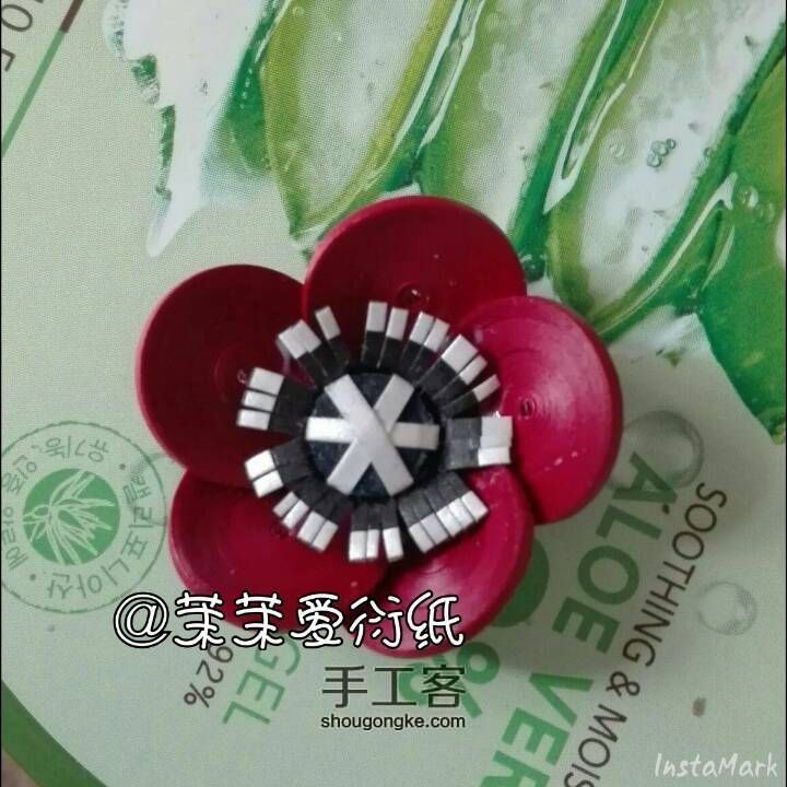 【茉茉】罂粟吗？求科普 第10步