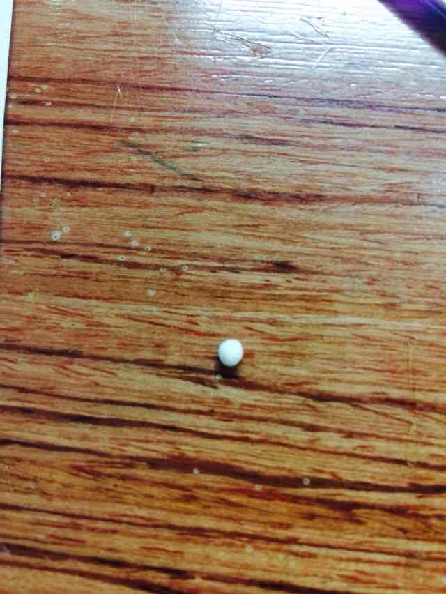 超級迷你😝 馬卡龍+盒子 第5步