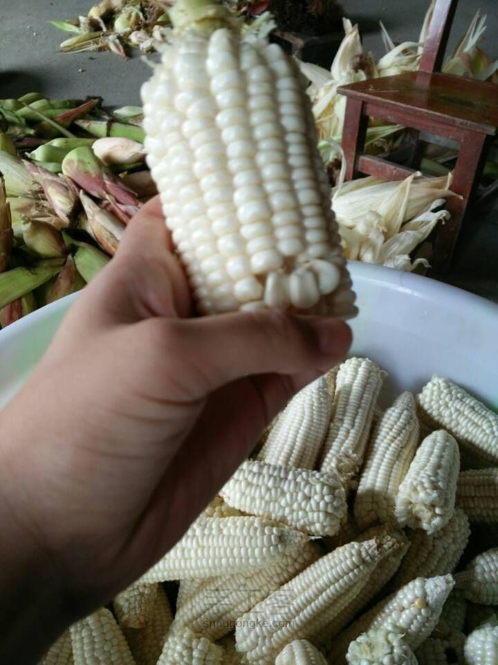 不同的玉米（原创） 第4步