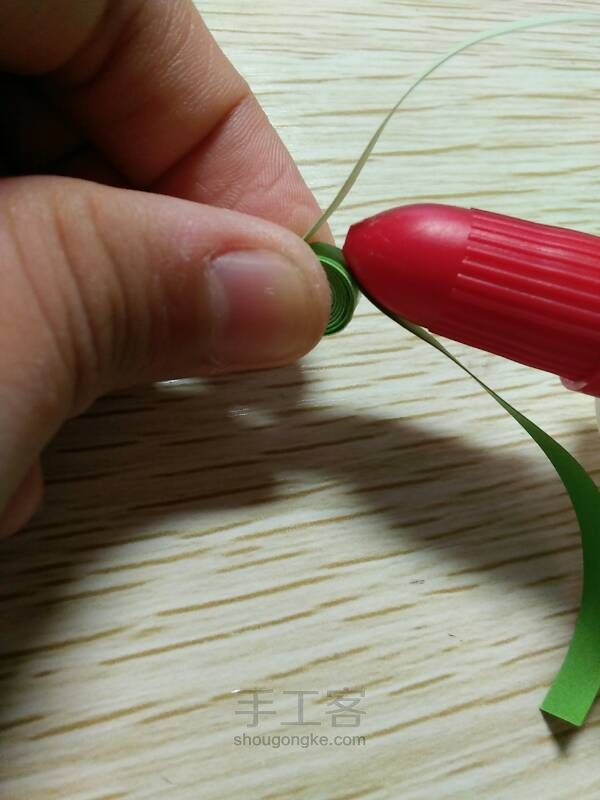 (馨衍)多肉萌宠之熊童子 第9步