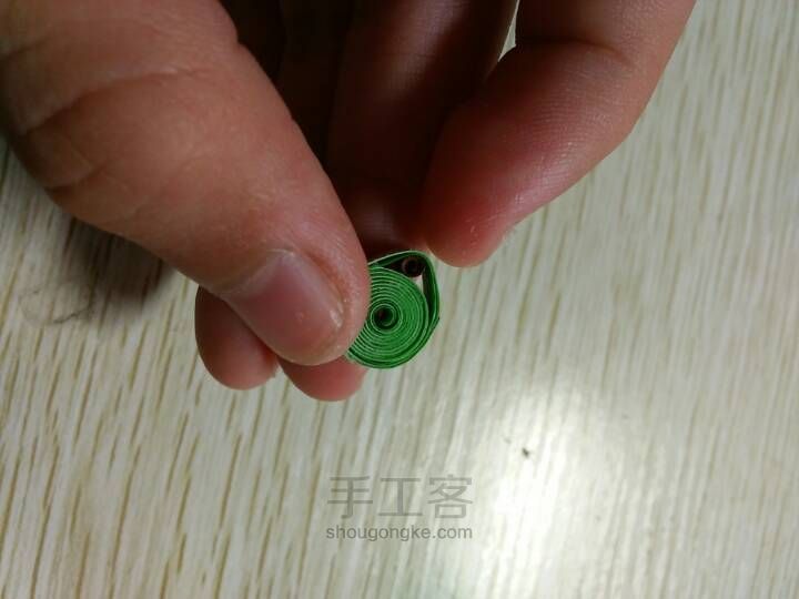 (馨衍)多肉萌宠之熊童子 第11步