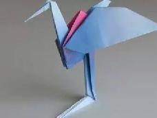 用千纸鹤这支的方法可以改造出一个有趣的折纸的丹顶鹤，下面就一起学习这个折纸千纸鹤被改造成丹顶鹤的独特制作方法教程吧！