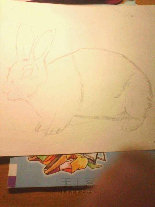 素描兔子 第3步