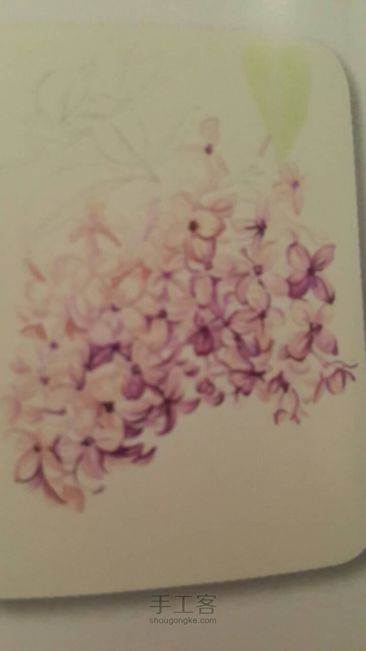紫丁香--水彩画 第5步