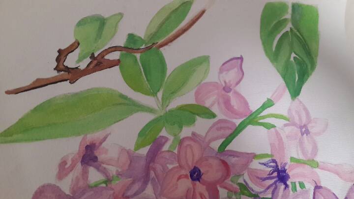 紫丁香--水彩画 第7步