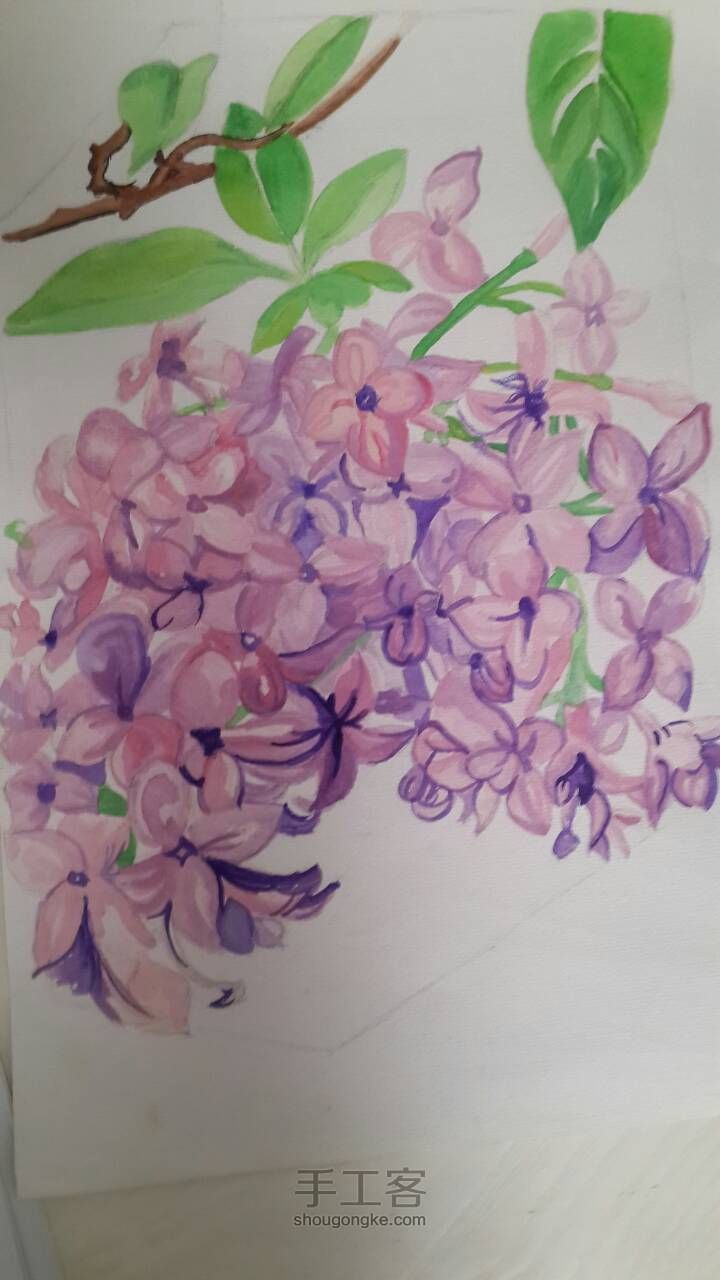 紫丁香--水彩画 第8步