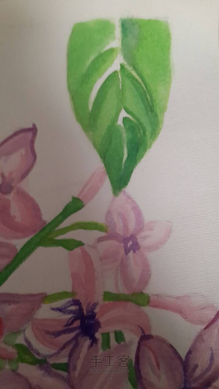 紫丁香--水彩画 第6步