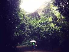 南师大，下雨时的景。