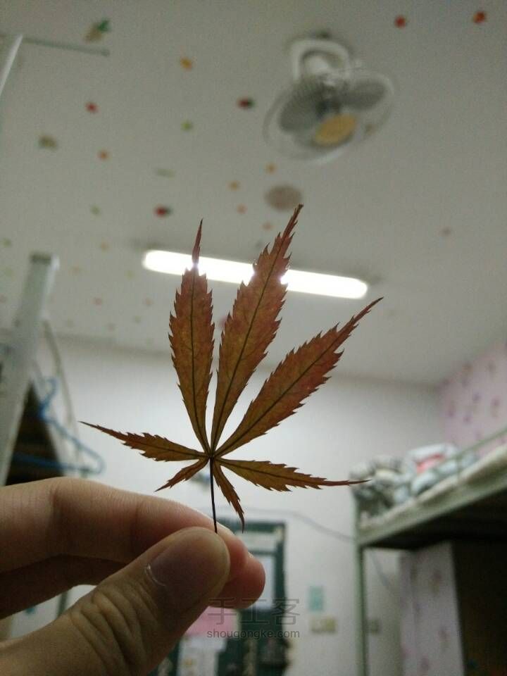 滴胶花朵手机壳【把春色留在手中】 第3步