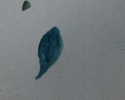 水彩画，蓝莓 第9步