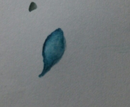 水彩画，蓝莓 第12步