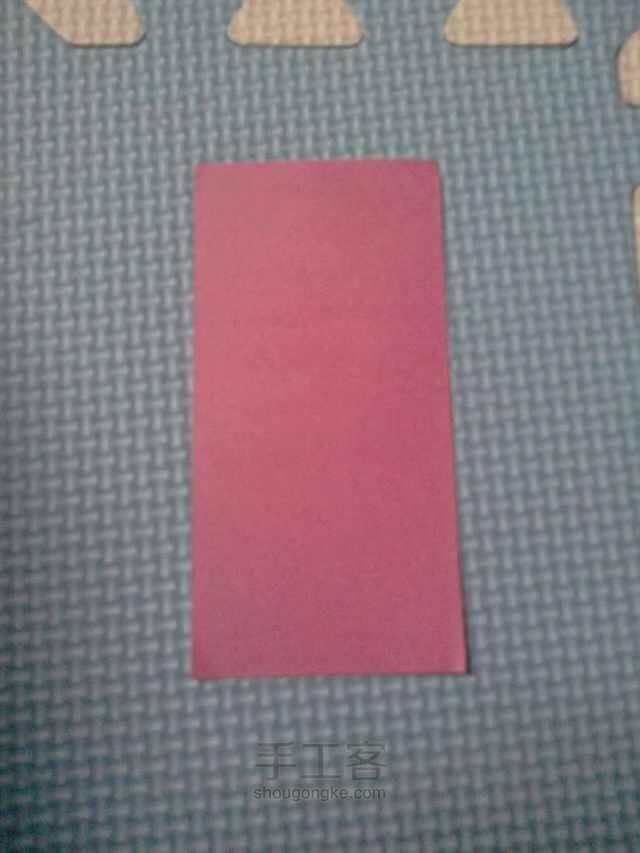睡莲 第2步