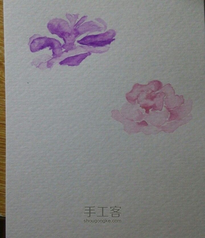 水彩画，月季 第2步