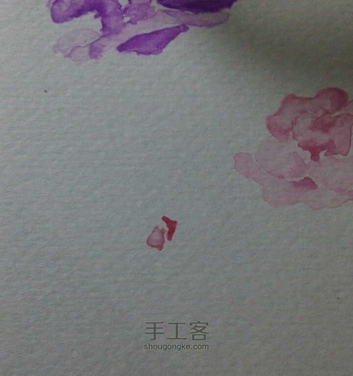 水彩画，月季 第3步