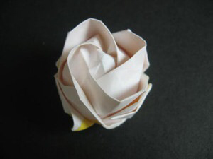 美美的川崎玫瑰🌹  第41步