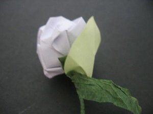 美美的川崎玫瑰🌹  第44步