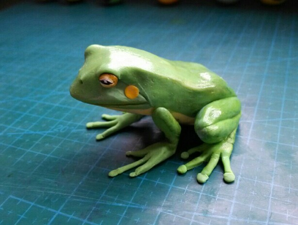 绿色青蛙 第6步