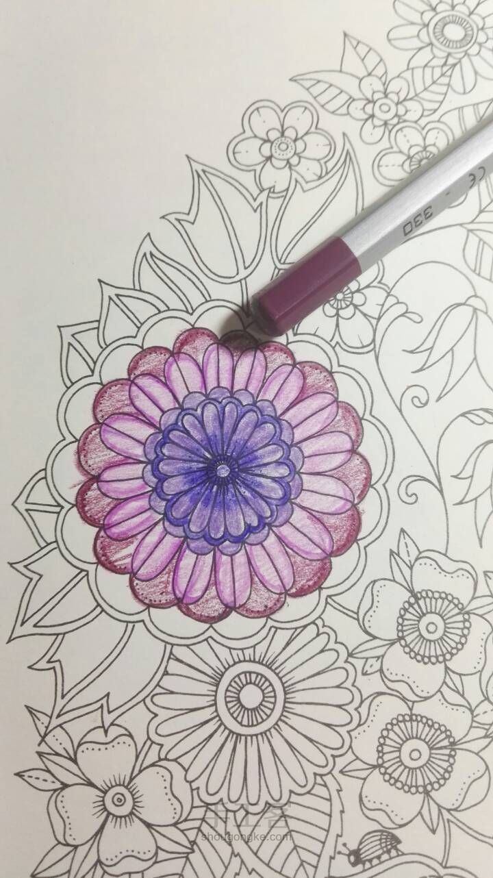《秘密花园》彩铅上色教程2 紫红色大花 第9步