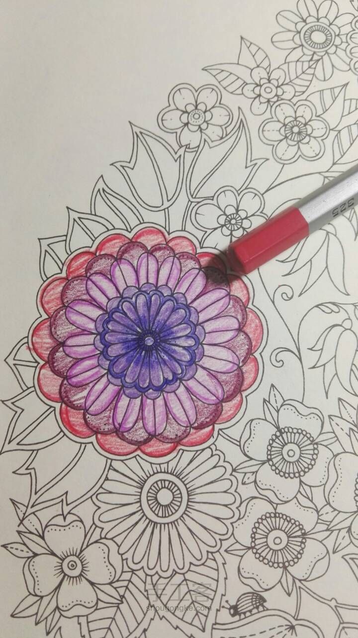 《秘密花园》彩铅上色教程2 紫红色大花 第10步