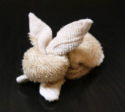 「转」♝毛巾兔子 第1步