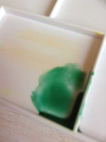 水彩荷花 第23步