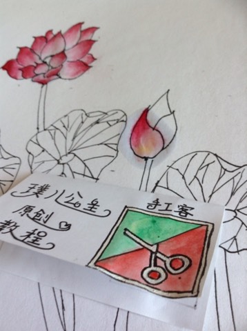 水彩荷花 第19步