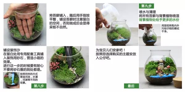 DIY苔藓生态瓶 第3步