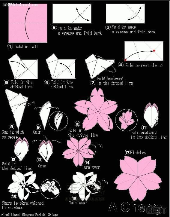 【转载】美哒哒的花儿，自己动手哦~ 第8步