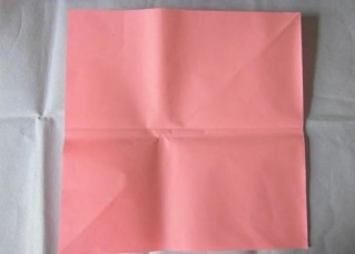 百合花—纸巾盒🍴 第5步