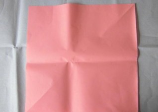 百合花—纸巾盒🍴 第3步