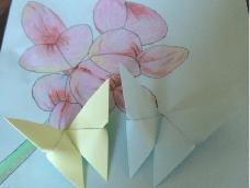一款简单的折纸蝴蝶教程