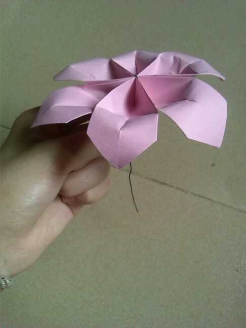 折纸小花（不知道叫什么） 第9步